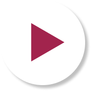 Método Movit Método Movit